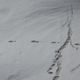 Illustration for article titled Indians Are Roasting Their Army for Posting Evidence of a One-Footed Yeti on Twitter